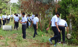 NSS Plantation